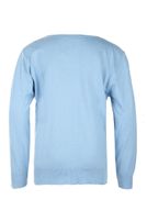 Feinstrick-Pullover mit V-Neck