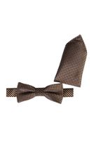 Fliege mit Einstecktuch