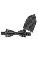 Fliege mit Einstecktuch