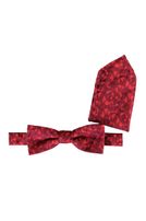 Fliege mit Einstecktuch