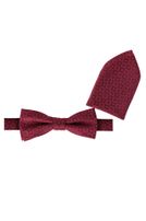 Fliege mit Einstecktuch